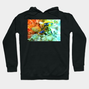 Nudibranchs Hoodie